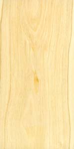 Amyris elemifera; Caribbean, Mexico