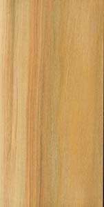 Karwinskia humboldtiana; (Coyotillo) Yucatan Peninsula, Mexico