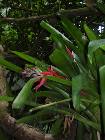 Mayan culture,history,civilization,modernday,Popol Vuh,Jade, Mayan medicine, legends and more