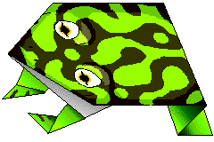 frog